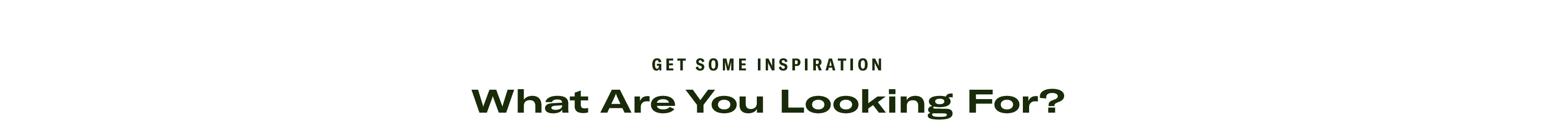 Get Some Inspiration
What Are You Looking For?